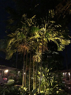 Montien House