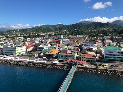 Roseau